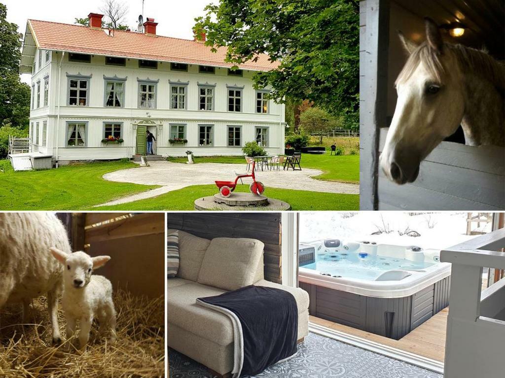 Myskje Gard Gastgiveri Soderala Buitenkant foto